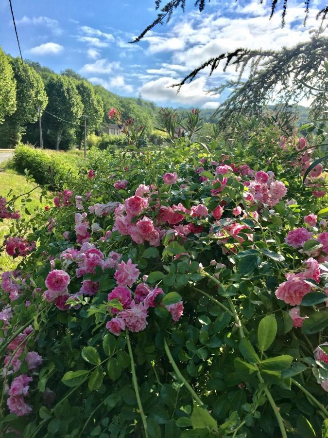 La Provencale B&B Duravel Экстерьер фото